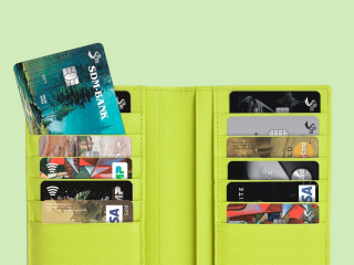 Plat Forma payment system